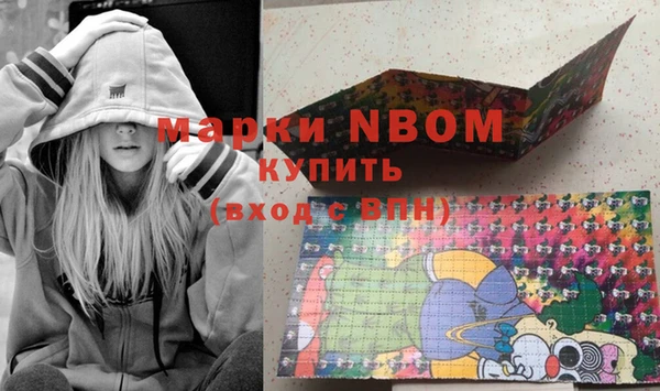 стаф Алзамай
