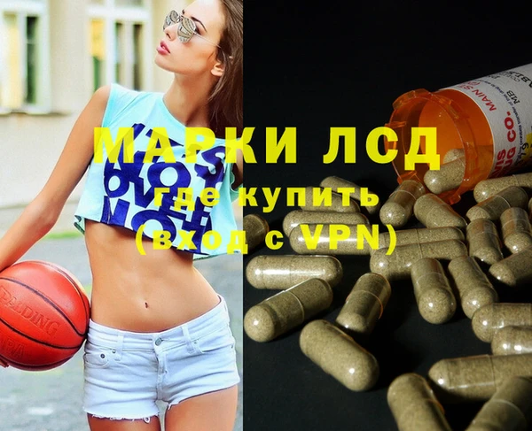 стаф Алзамай