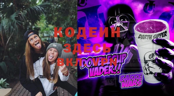 стаф Алзамай
