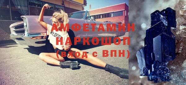 стаф Алзамай