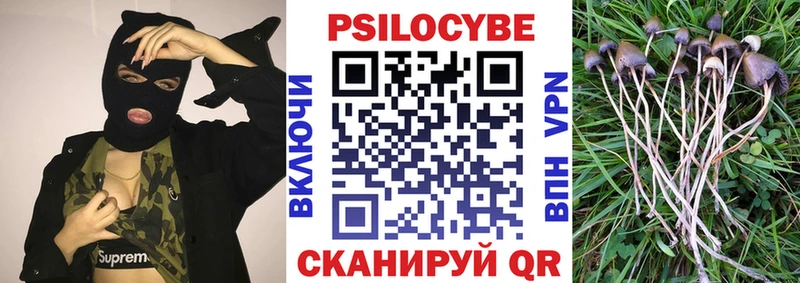 Псилоцибиновые грибы Psilocybe  наркота  Луза 
